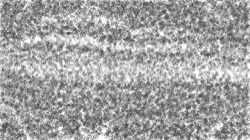 image: image from bw hatch