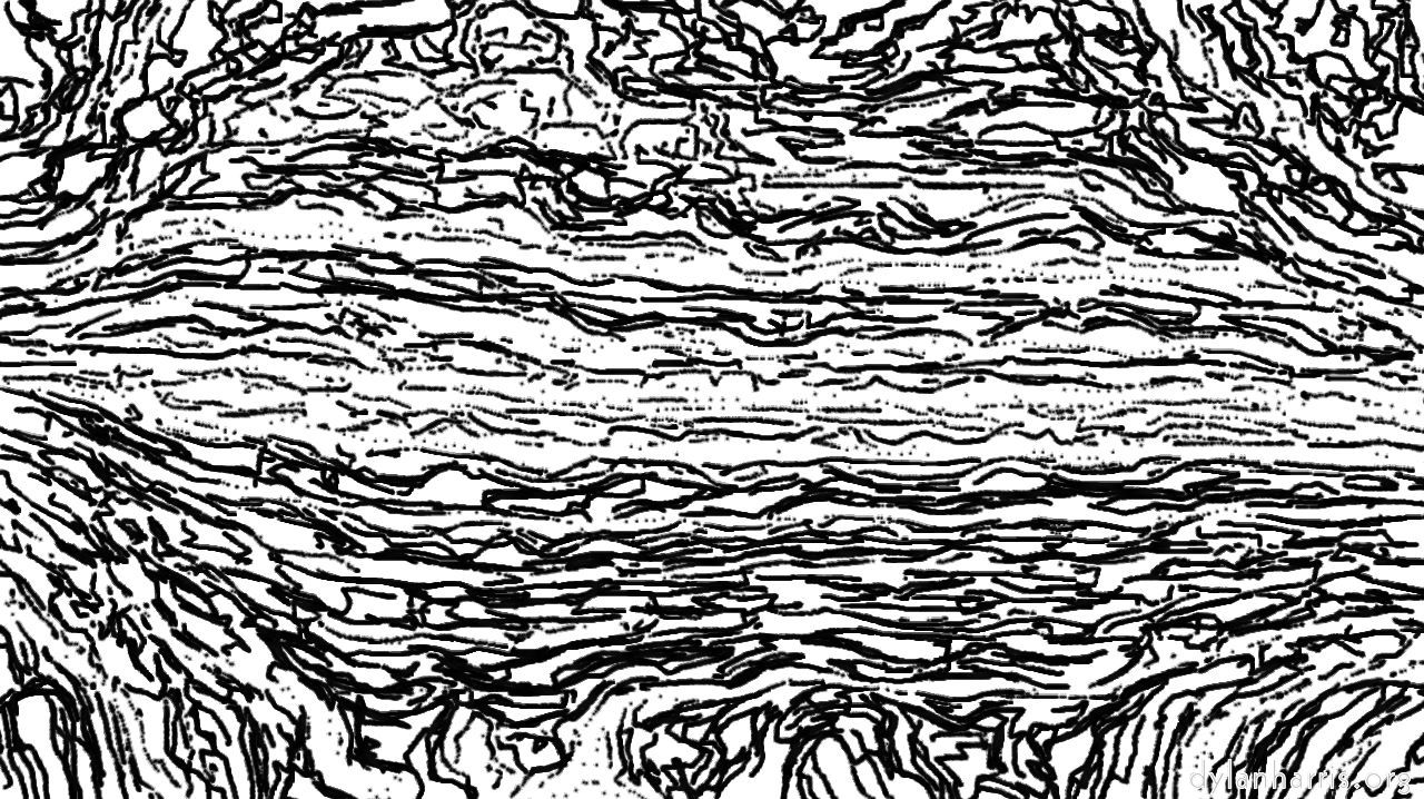 Image: bw hatch 1 :: bwedgehatcher2