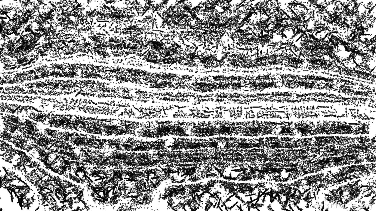 Image: bw hatch 1 :: bwhatcher1