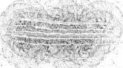 Image: 2.0&nbsp;collection thumbnail