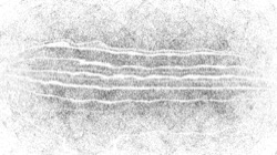 image: image from bw hatch 1