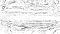 image: image from bw hatch 1