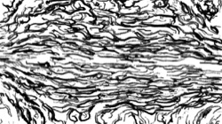 image: image from bw hatch 1