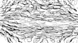 image: image from bw hatch 1