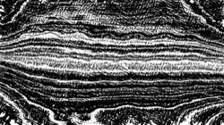 image: image from bw hatch 1