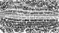 image: image from bw hatch 1