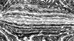 image: image from bw hatch 1