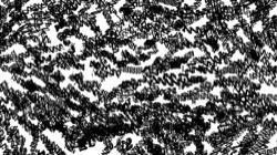 image: image from bw hatch 1