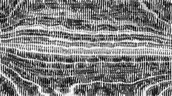 image: image from bw hatch 1