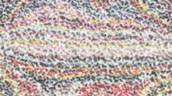 Image: 2.0&nbsp;collection thumbnail