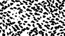 Image: 2.0&nbsp;collection thumbnail