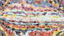 image: image from movie brush 2