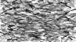 Image: 2.0&nbsp;collection thumbnail