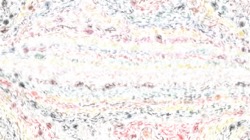 image: image from texture strokes