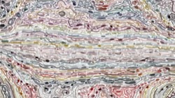 image: image from texture strokes