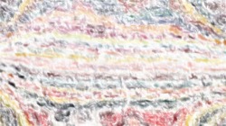 image: image from bristle paints