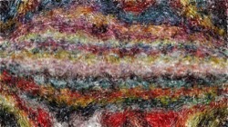 image: image from bristle paints