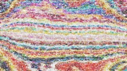 image: image from bristle paints