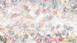 image: image from bristle paints