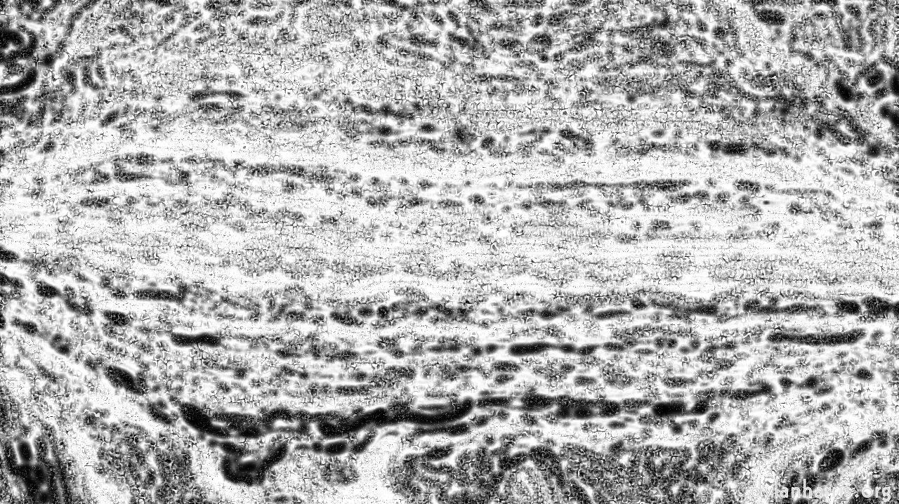 image: bw effects :: bwtexturehalkftoner1