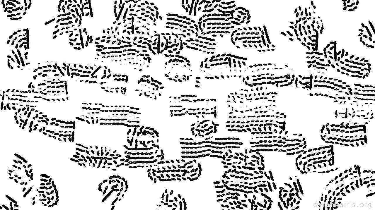 Image: bw effects :: lithocoveragerake