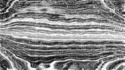 image: image from bw effects