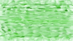 image: image from canvas manipulators