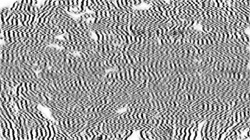 image: image from canvas manipulators