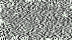 image: image from canvas manipulators