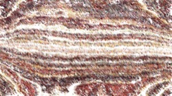 image: image from cloners 1