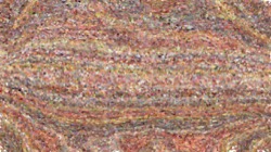 image: image from cloners 2