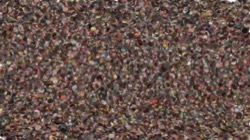 image: image from cloners 2