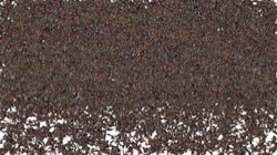 image: image from cloners 2