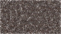 image: image from cloners 2