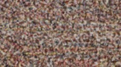 image: image from cloners 2