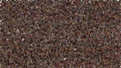 image: image from cloners 2