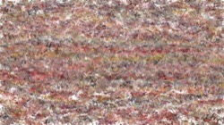 image: image from cloners 2