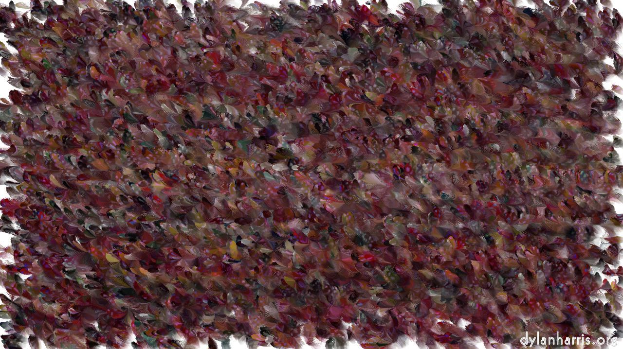 image: cloners 3 :: magnolia1