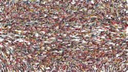 image: image from cloners 4