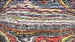 image: image from cloners 4