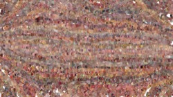 image: image from cloners 4