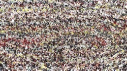 image: image from cloners 4