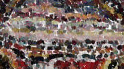 image: image from cloners 4