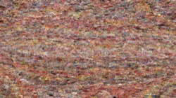 image: image from cloners 4