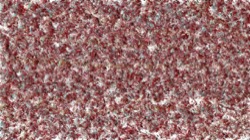 image: 3.0 collection thumbnail