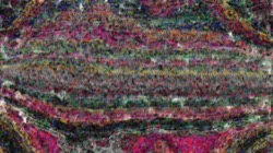 Image: image from colour effects