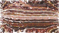 Image: image from colour effects