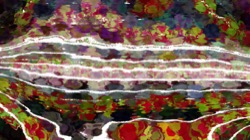 Image: image from colour effects