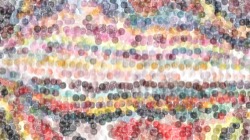 Image: image from coverage