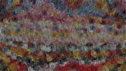 Image: image from coverage